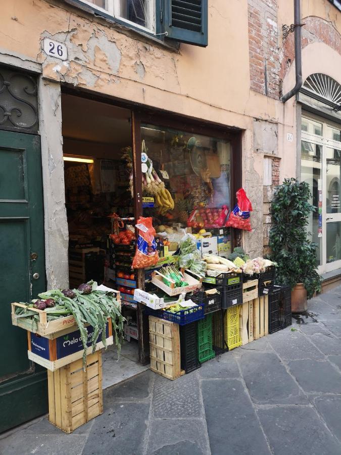 Apartmán La Chiocciolina Lucca Exteriér fotografie