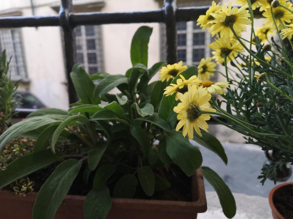 Apartmán La Chiocciolina Lucca Exteriér fotografie